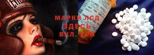 ПСИЛОЦИБИНОВЫЕ ГРИБЫ Абаза