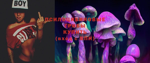 ПСИЛОЦИБИНОВЫЕ ГРИБЫ Абаза