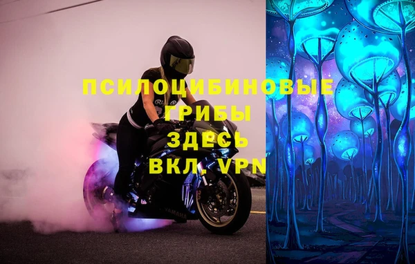 ПСИЛОЦИБИНОВЫЕ ГРИБЫ Абаза