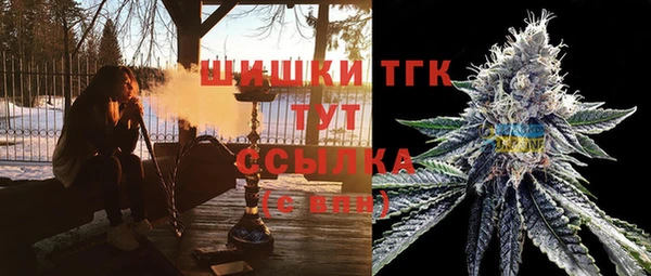 ПСИЛОЦИБИНОВЫЕ ГРИБЫ Абаза