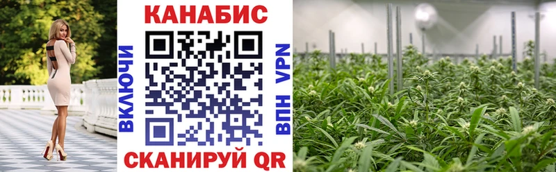 магазин    Вилючинск  МАРИХУАНА сатива 